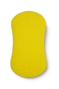 Sponge Stock Photos