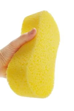 Sponge Stock Photos