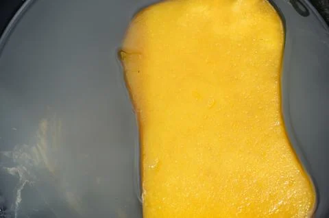 Sponge 스톡 사진