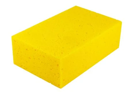 Sponge Stock Photos