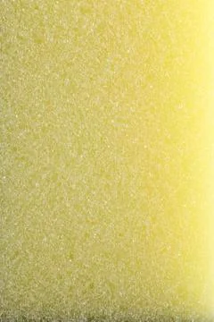 Sponge Stock Photos