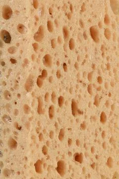 Sponge Stock Photos