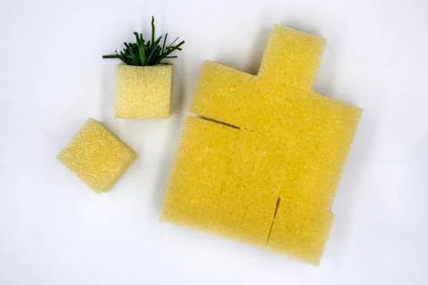 A sponge preparing to be planted in hydroponics vegetable plots, the cube spo Foto stock