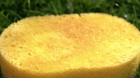 Sponge soaking up water close up Stock Footage 252209632