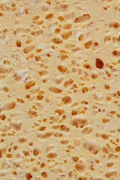 Sponge structure background texture 스톡 사진