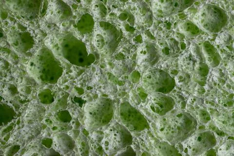 Sponge texture background. Green color cleaning sponge material detail clos.. Stock Photos