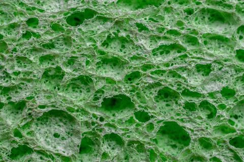 Sponge texture background. Green color cleaning sponge material detail clos.. Stock Photos