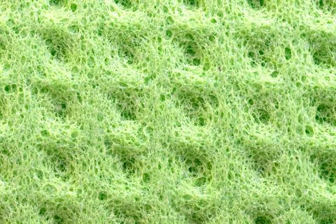 Sponge texture background Stock Photos