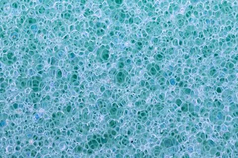 Sponge texture background Stock Photos