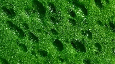 Sponge texture closeup background Stock Footage 88712477