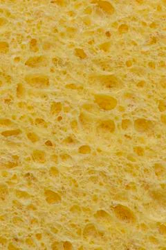 Sponge texture closeup background Stock Photos