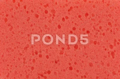Sponge Texture Stock Photos