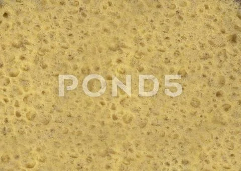 Sponge texture Stock Photos