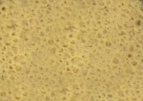 Sponge texture Stock Photos
