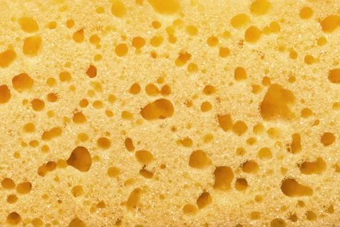 Sponge texture Stock Photos