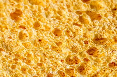 Sponge texture Stock Photos