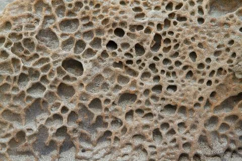 Sponge texture stone Stock Photos