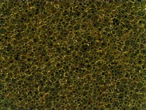 Sponge textured Stock Photos