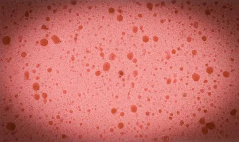 Sponge for washing dish on white background Stock Photos