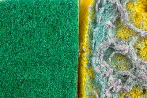 Sponges for cleaning Stock Photos