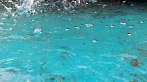 Sponges move on the surface of the water Stock Footage 259256337