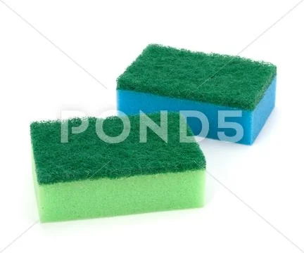 Sponges Stock Photos