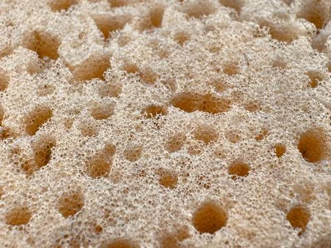 Spongy surface, close-up texture. Stock Photos
