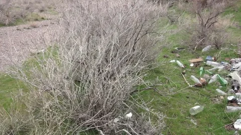 Spontaneous garbage dump, pollution Video stock 87804426