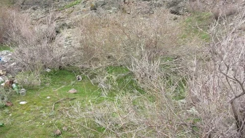 Spontaneous garbage dump, pollution Video stock 87805034