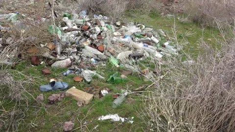 Spontaneous garbage dump, pollution Video stock 87805344