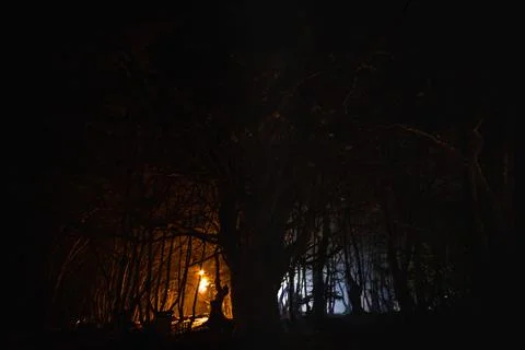 Spooky atmosphere Tree at night Stock Photos