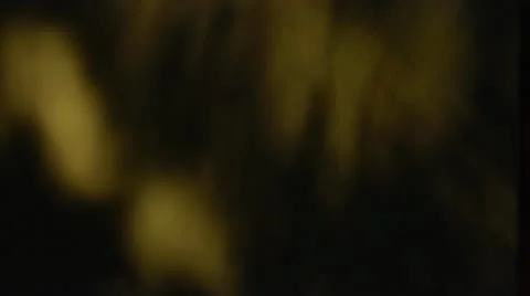 Spooky background Stock Footage 12518895