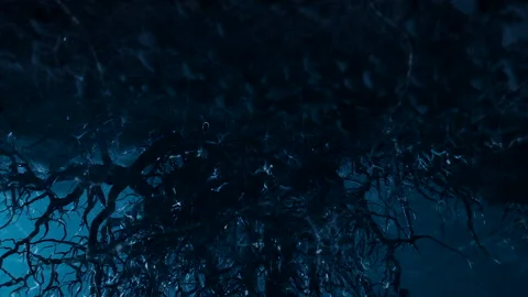 Spooky black tree growing in dark foggy night Stock Footage 328158667