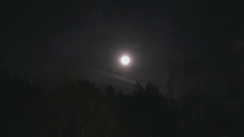 Spooky Bright Full Moon Over Silhouetted Forest Video stock 243756173
