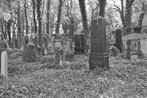 Spooky cementary Stock Photos