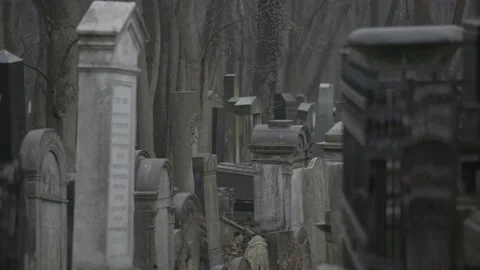Spooky cemetery 4K Stock Footage 147987581