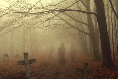 Spooky cemetery in forest Stock Photos