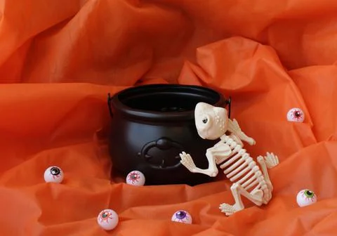 Spooky dead frog skeleton trying to get inside an empty witch cauldron. Stock Photos