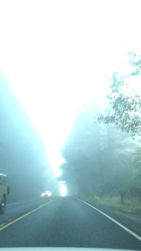 Spooky driving intro scene into a dark foggy forested area Stock Footage 241560474