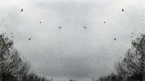 A spooky edit of a symmetrical framing of trees with crows flying in the sky Stock Illustration