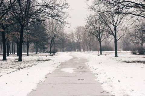 Spooky empty park on a cold winter day 库存照片