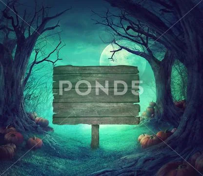 Spooky forest with dead trees and pumpkins Stock Illustration