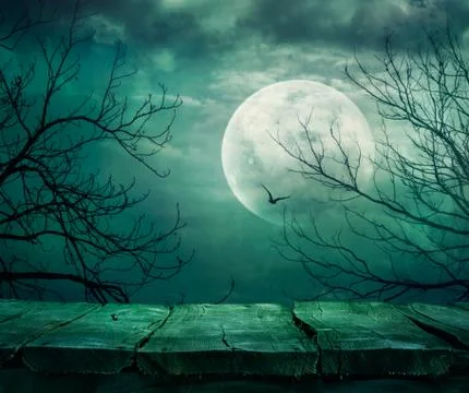 Spooky forest with full moon and wooden table Stock Photos