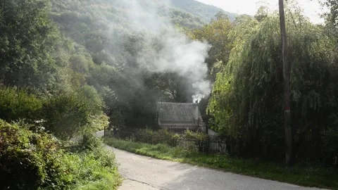 Spooky forest house Video stock 296819760