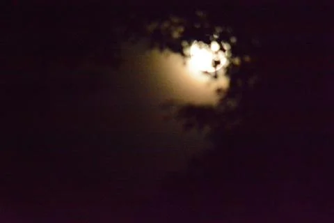 Spooky Full Moon Stockfoto's