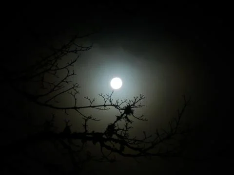 Spooky Full Moon Stock Photos