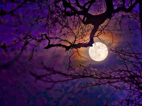 Spooky Full Moon Stock Photos