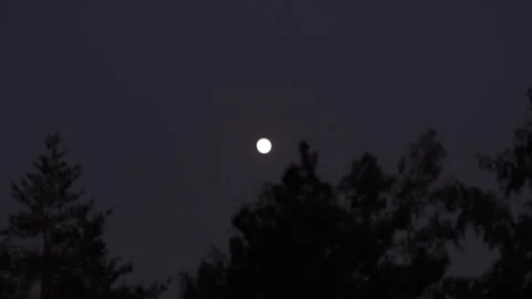 Spooky Full Moon Through Clouds Vídeo Stock 336125299