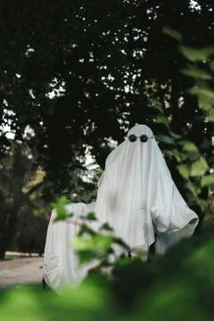 Spooky Ghost between some branch wearing glasses at the park alone Stock Photos