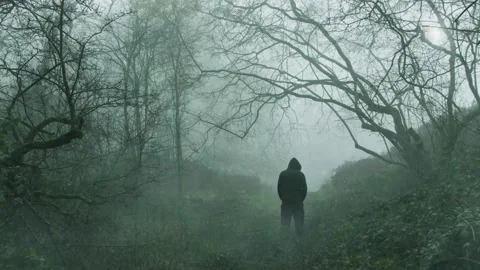 A spooky ghostly hooded figure in a forest. Stock Footage 242167207